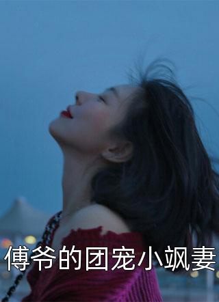 龍王醫婿小說