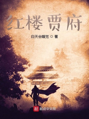 紅樓賈府全章節免費閱讀