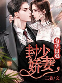 林楓蘇慕白免費全書