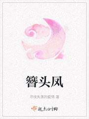 簪頭鳳劇透