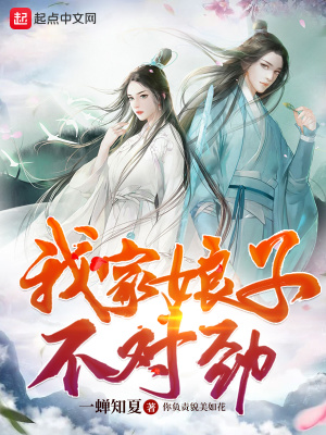 我家娘子不對勁 小說